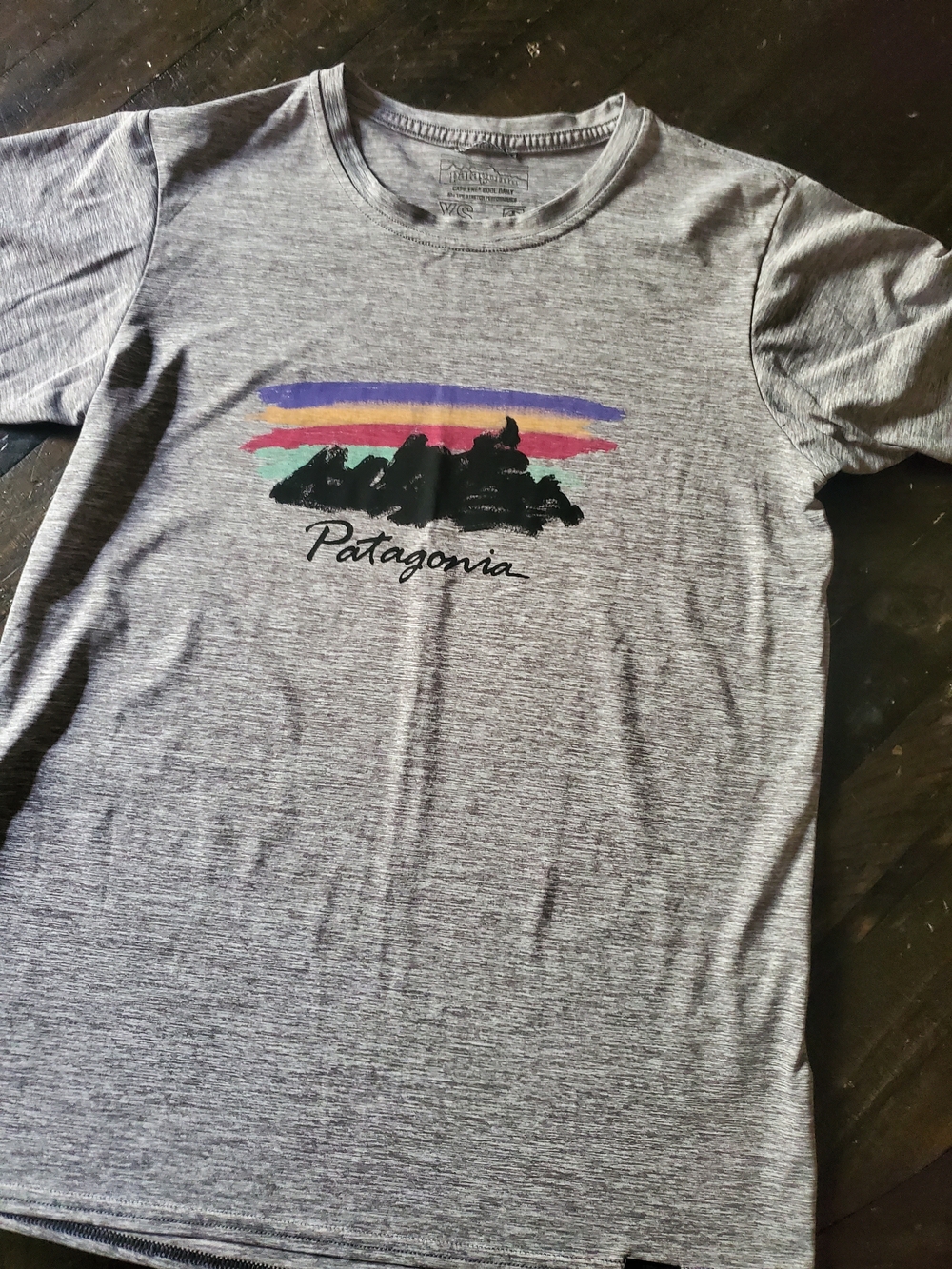 Patagonia Heather Gray Crewneck Tee with Color Stripe Mountain Graphic